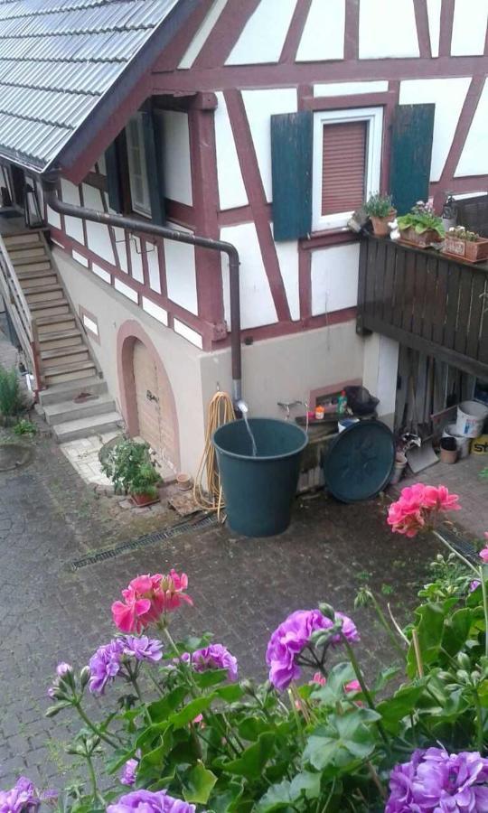 Galerie Ueber Den Gaerten Herbolzheim Extérieur photo